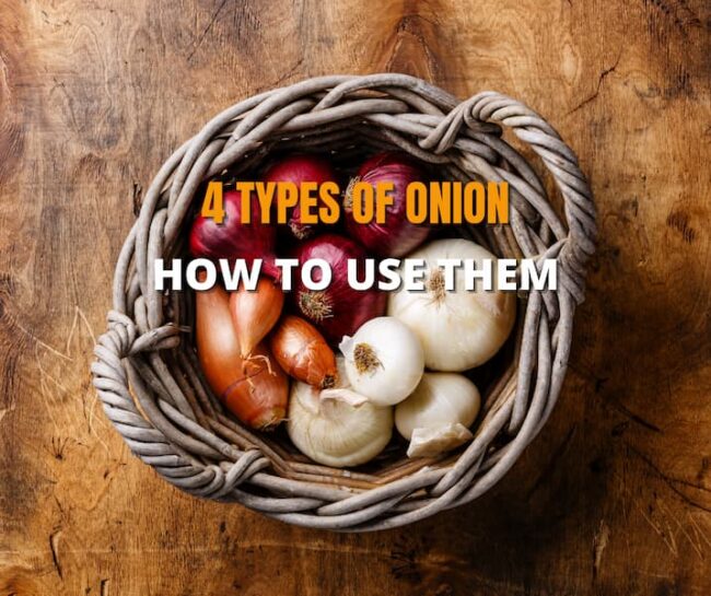 4 types of onions