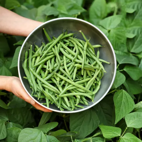 what to serve with pizza-beans