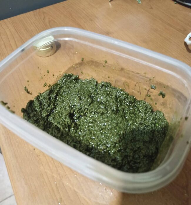 oregano pesto in a food container