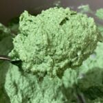 a close sight of the filling you should obtain with this ricotta filling recipe