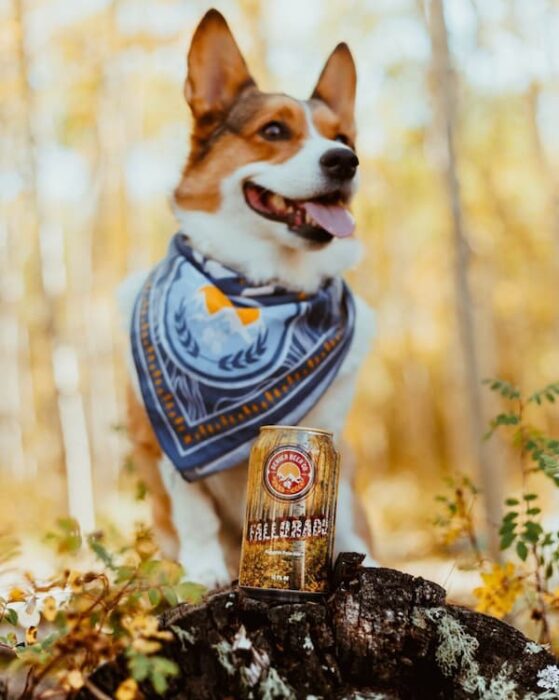 breweries with live music denver