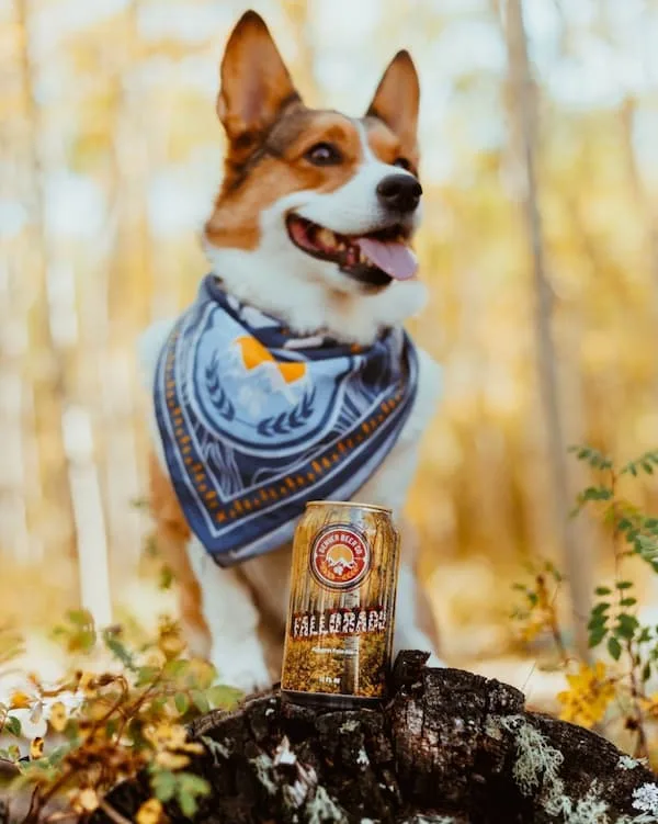 breweries with live music denver