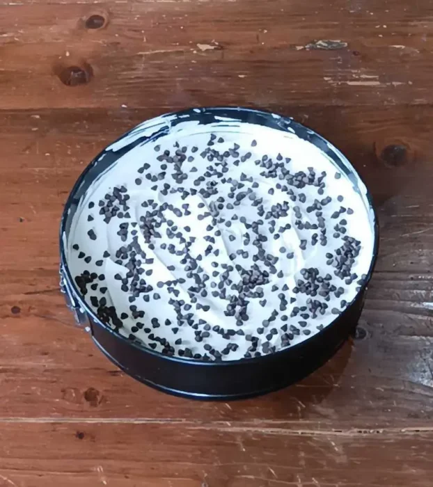 the final look of the cake, which is now topped with chocolate chips