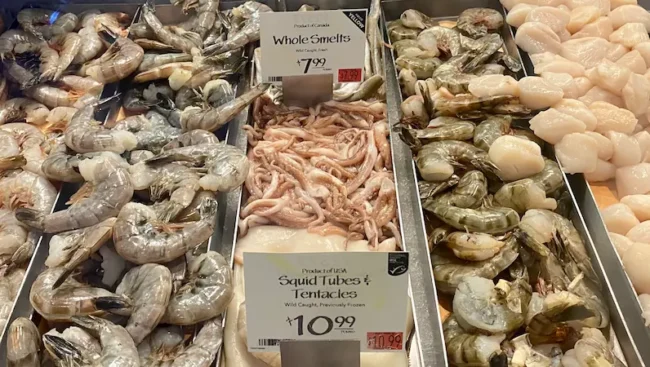 squid dishes-squids at a seafood counter