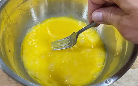 egg 