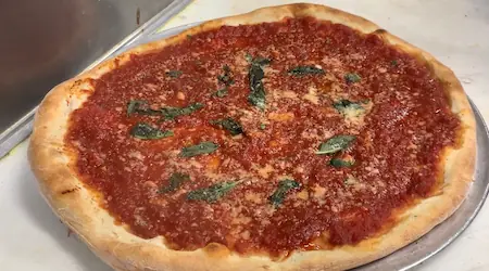 oregano vs basil-/oregano on a round pizza with tomato sauce