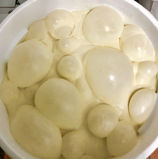 Homemade pizza dough ready for refrigeration