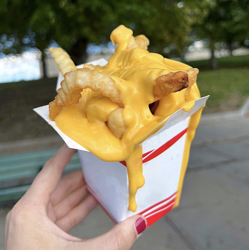 Cheesy Fries