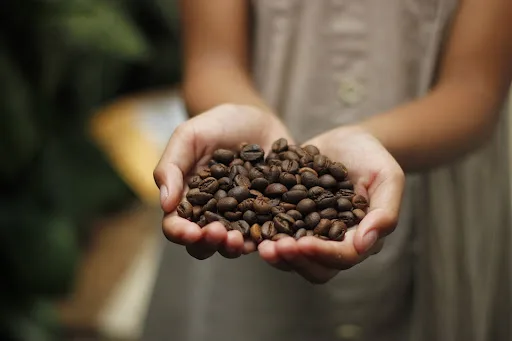 best coffee roast for espresso
