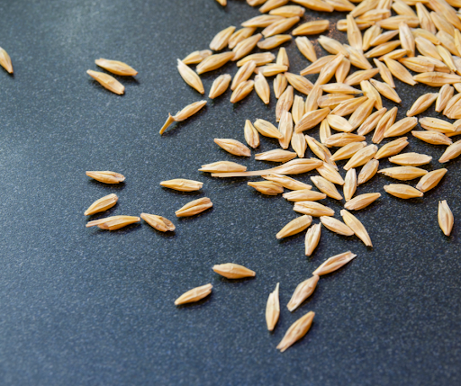 farro vs barley