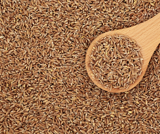 whole farro grain