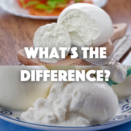 Burrata vs Buffalo Mozzarella