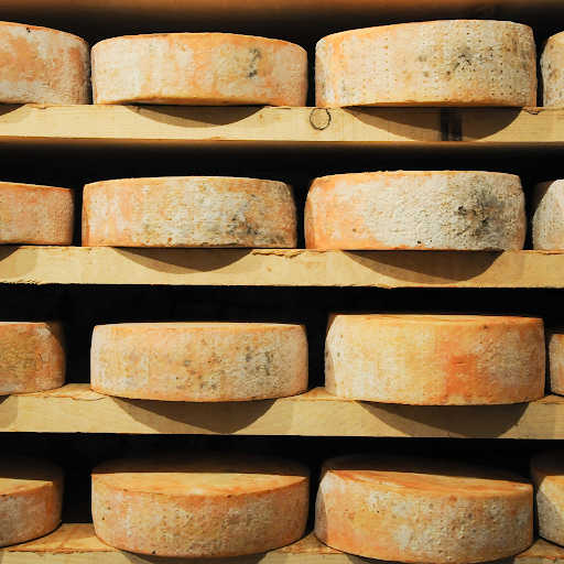 American Cheese Substitutes - Monterey Jack