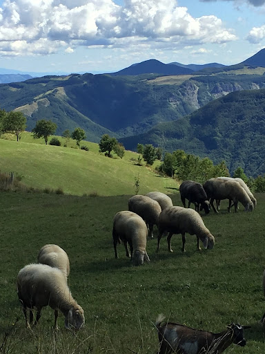 Apennine mountains