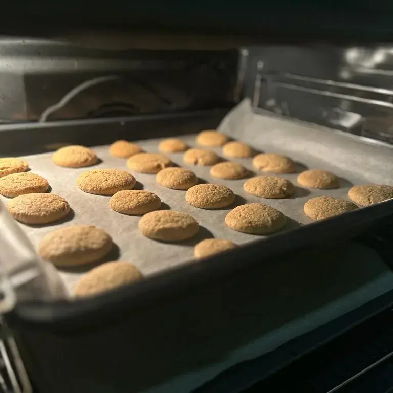 star anise cookies-traditional christmas cookies