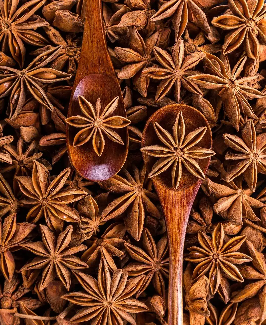 star anise cookies-anise star