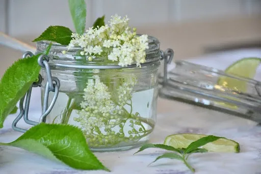 Hugo Spritz - elderflower syrup