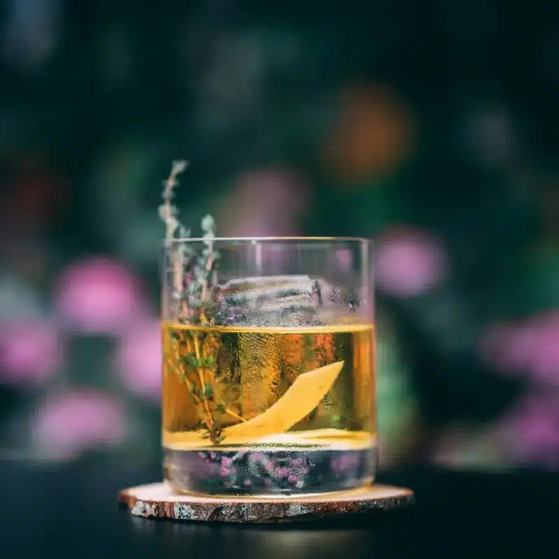 white negroni cocktail