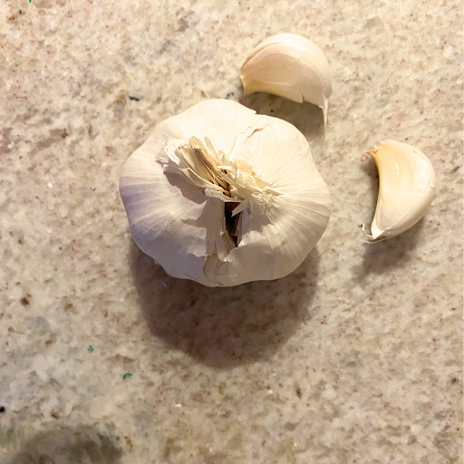 Garlic