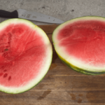 ninja creami watermelon sorbet