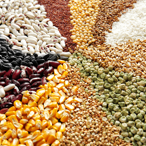 what is the difference between quinoa and couscous