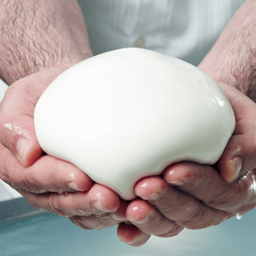 Fresh mozzarella ball stored in refrigerator container