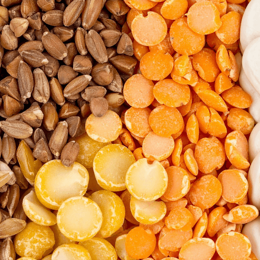 Choosing Your Lentils