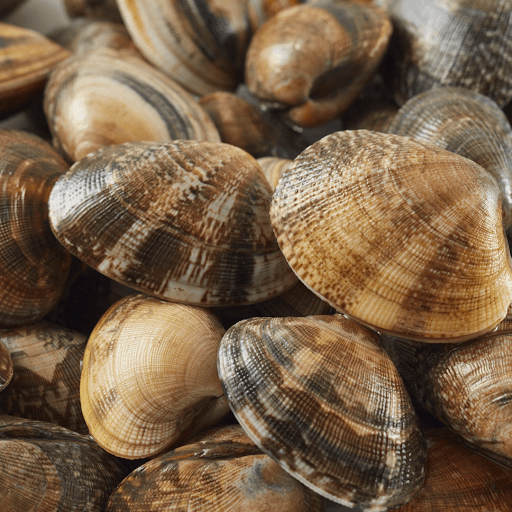 Ingredients and Why They Matter