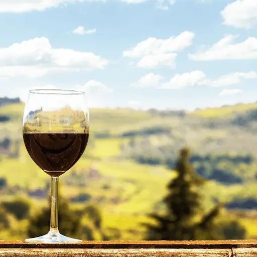 Italian wine list-popular wine