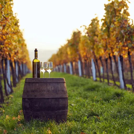 Italian wine list-quality level
