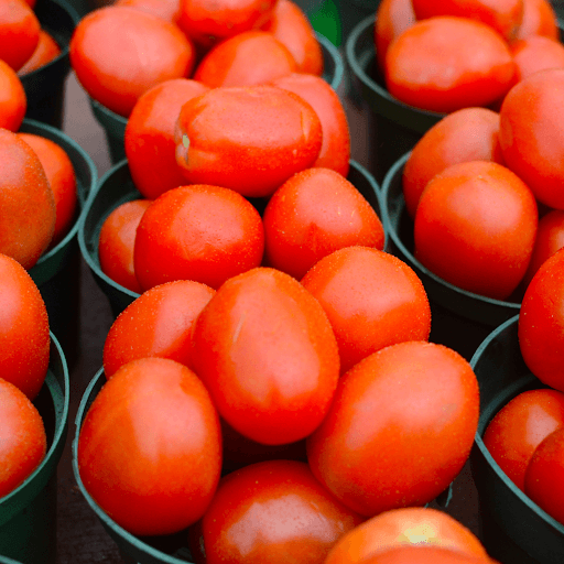 Storing Diced Tomatoes