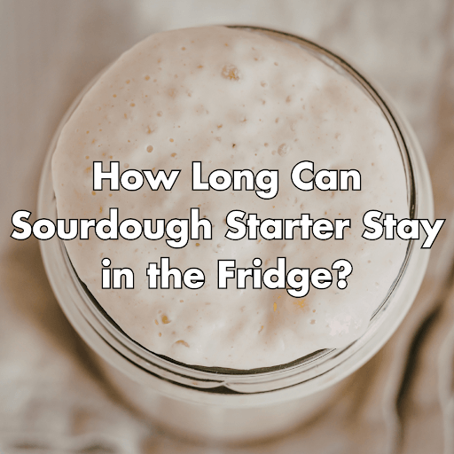 how long can sourdough starter stay in fridge