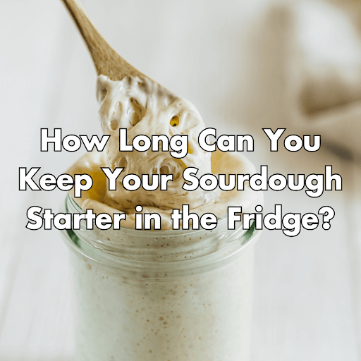 how long can sourdough starter stay in fridge