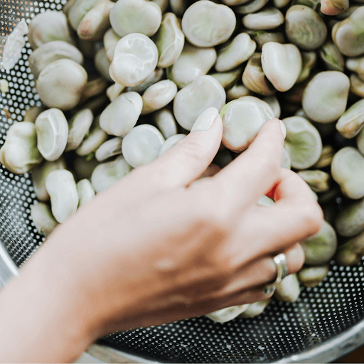sauteed fava beans-Flavor Ideas